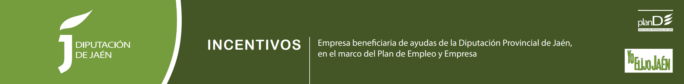 Actuación subvencionada por la Junta de Andalucía